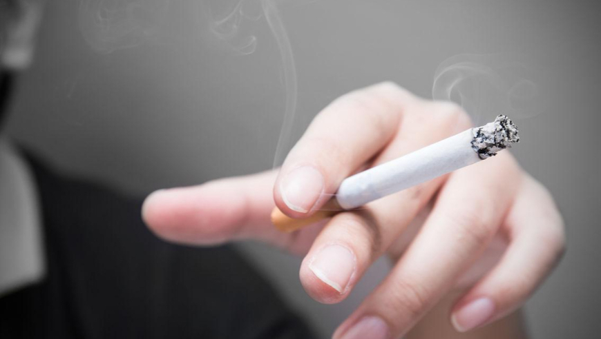 71岁赵雅芝66岁陈美琪同框,番港二四六开奖资料大全,最新正品解答落实_尊享版V3.14