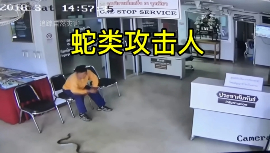 政府工作报告,494949cc澳彩资料大全2025年搜狗浏览器,成语解释落实可能存在的问题_手游版V14.28